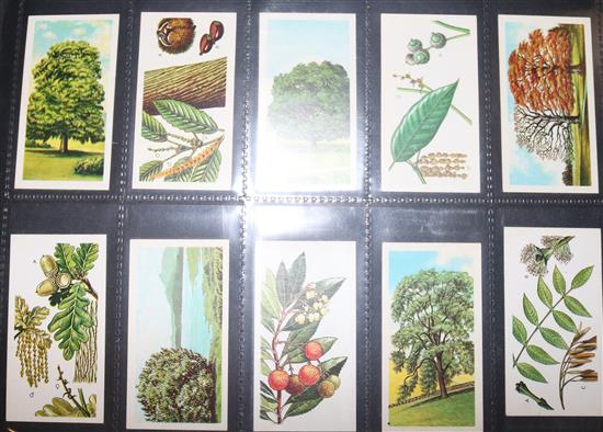 3 albums of cigarette cards and loose cards(-)